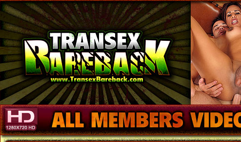 Transex Bareback